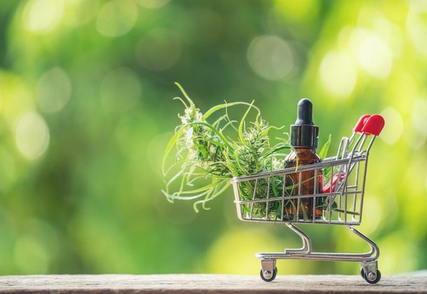 Profitez des avantages du cannabidiol en achetant des produits de qualité auprès d'un CBD shop